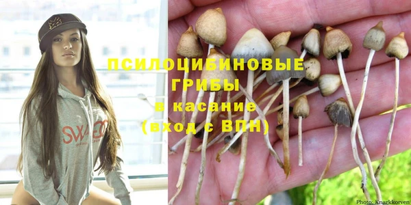 мет Ладушкин