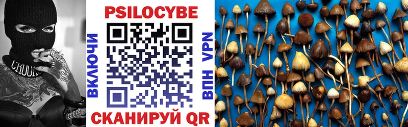 Галлюциногенные грибы Magic Shrooms  Купить закладки  Тайга 